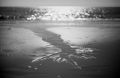 plage_1_R.jpg