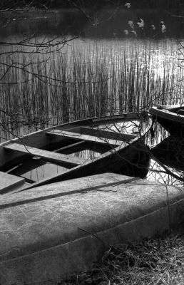p23_6.jpg