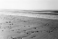 plage.JPG