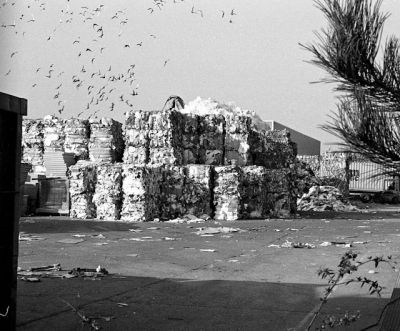 Le déjeuner
Pentax program A hp5+ 
