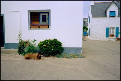 Houat05.jpg