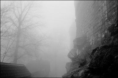 koenigsbourg3.jpg