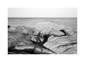 Barfleur-ete-2025-10Vign.jpg
