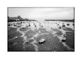 Barfleur-ete-2025-38Vign.jpg