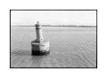DSC05208Vig.jpg