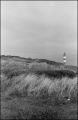 Image6~0.jpg