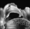 03-2.jpg