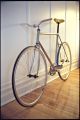 velo.jpg