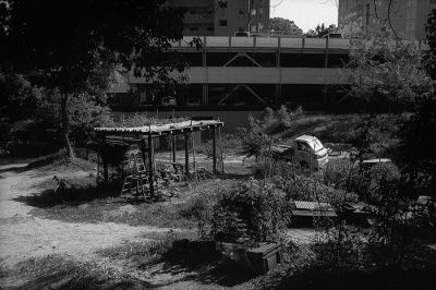 bScan-140613-0004.jpg