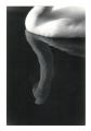 CYGNE_2_jp.JPG