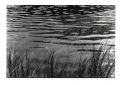 lac_noir_1_jpg.jpg