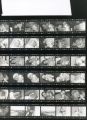 planche_contact_agfa_APX400001.jpg