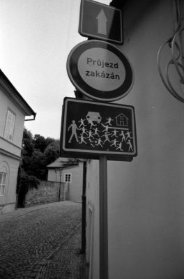 2010-06-01-9.jpg
