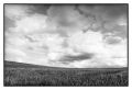nuages_4.jpg