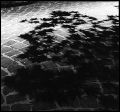 ombres.jpg
