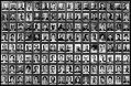 Nom du fichier=portraits.jpg
Taille du fichier=346Ko
Dimensions : 811x528
Ajouté le : 09 Août 2010 portraits.jpg