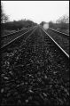 rails~0.jpg