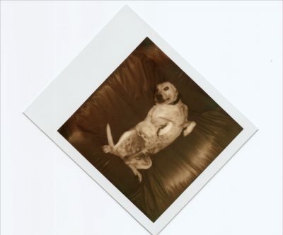 Essai scan 2
