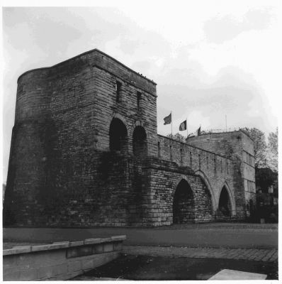 Lubitel 166b.1
