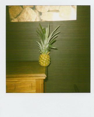 Polananas.1
