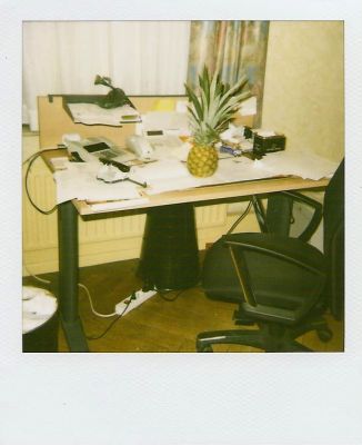 Polananas.9
