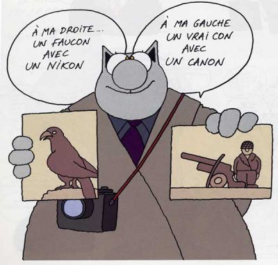El gato
