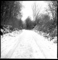 DSC01940.JPG
