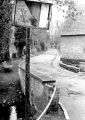 DSC02070.JPG