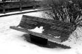 DSC02083.JPG