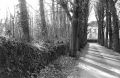 DSC02103.JPG