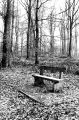 DSC02206.JPG