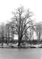 DSC02237.JPG
