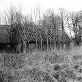 DSC02429.JPG