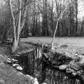 DSC02435.JPG