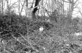 DSC02623.JPG