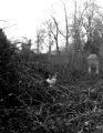 DSC02624.JPG