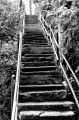 DSC02638.JPG