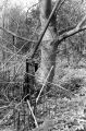 DSC02690.JPG