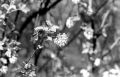 DSC02692.JPG
