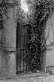 DSC02717.JPG