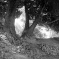 DSC02970.JPG
