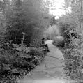 DSC03244.JPG