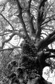 N102-0004_2.jpeg
