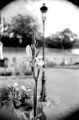 N109_0021_p.jpeg