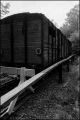 N11-0022_p.jpeg