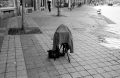 N110_0011_p.jpeg