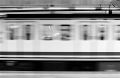 N115_0009_p.jpeg