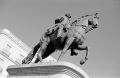 N115_0015_p.jpeg