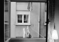 N116_0015_p.jpeg