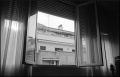 N127_0021_p.jpeg